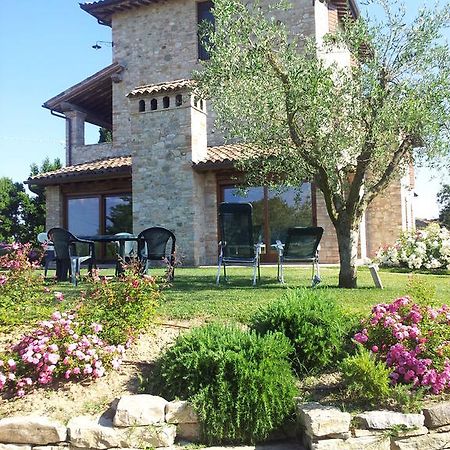 Agriturismo La Torraccia 토티 외부 사진