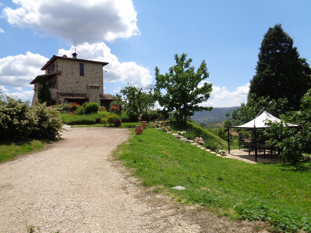 Agriturismo La Torraccia 토티 외부 사진